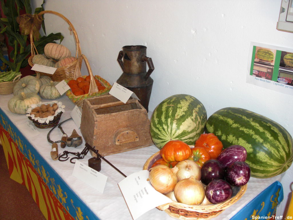 Tisch mit Gemüse, Melone und Kürbisen