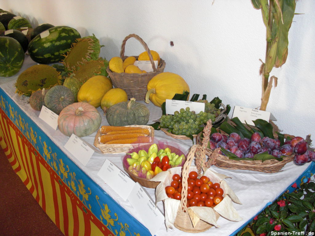 Tisch mit Gemüse, Weintrauben, Obst und Sonnenblumen