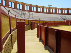 arena xxx