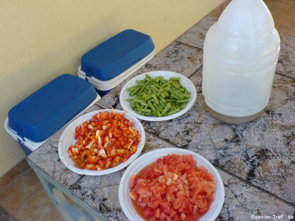 Zutaten: Bohnen, Paprika, Tomaten und Olivenöl für die Paella
