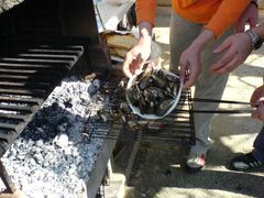 Legen der Miesmuscheln/Mejillones auf den Grill