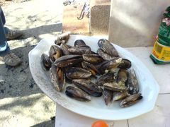 Die fertigen Miesmuscheln vom Grill / Mejillones a la plancha auf dem Teller