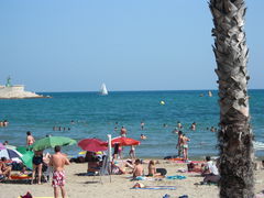 Strand von Benicarló mit Palme