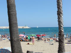 Strand von Benicarló mit Palmen