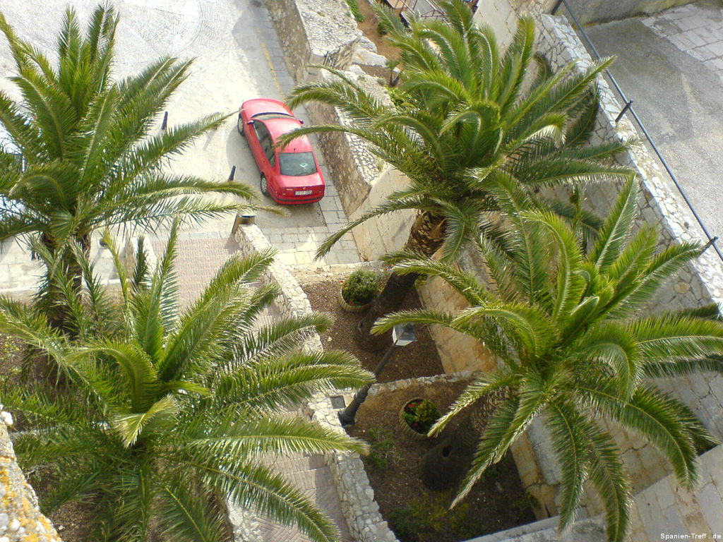 Palmen von oben bei Peñíscola