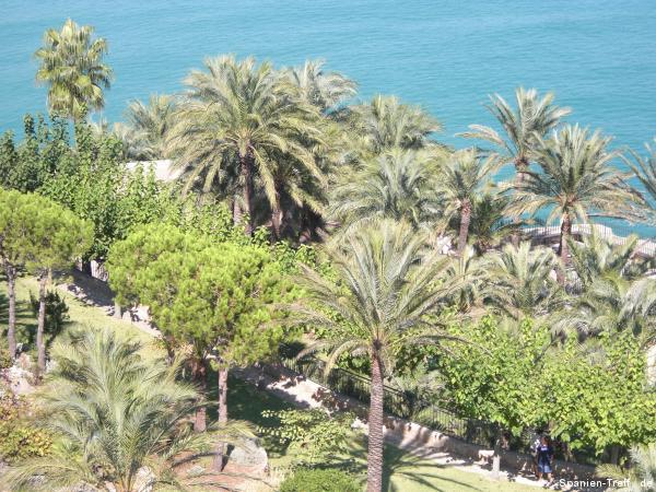 Blick auf die Palmen in Garten vom Antipapst Papa Luna in Peñíscola.