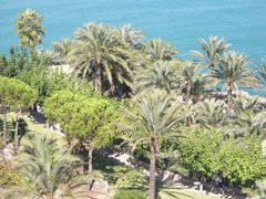 Blick auf die Palmen in Garten vom Antipapst Papa Luna in Peñíscola.