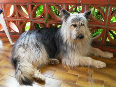 Siesta auf der Terrasse