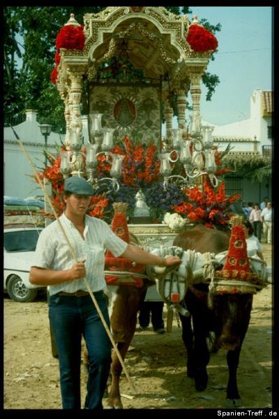 rocio el virgin de paloma blanca