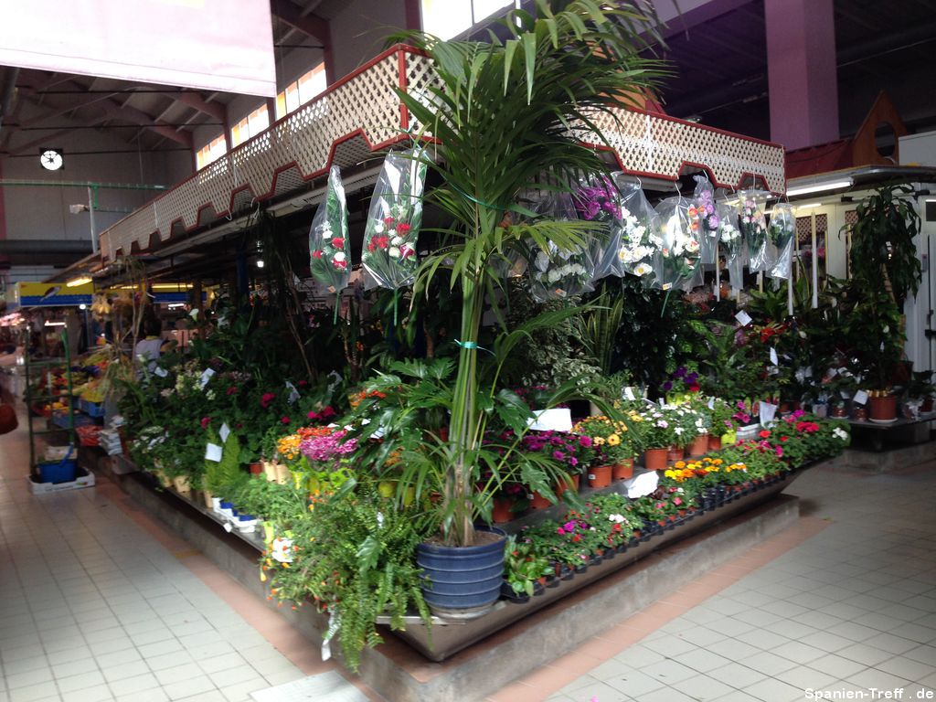 Blumengeschäft in der Markthalle