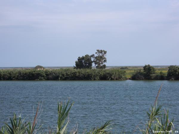 Ebro-Fluss-Ufer