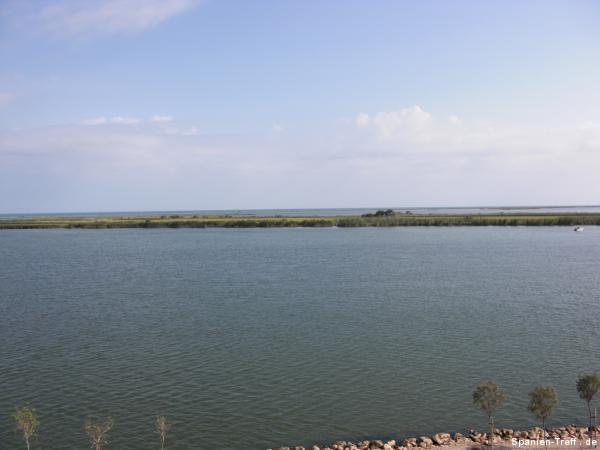 Mündungsufer am Ebrodelta
