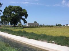 Bewässerungskanal, Reisfeld und Haus