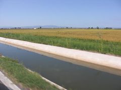 Bewässerungskanal und Reisfeld