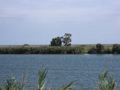 Ebro-Fluss-Ufer