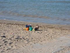 Hund am Strand