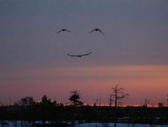 una sonrisa del cielo