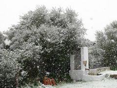 Die Insel in einem selten Kleid, Winter 2010, der nächste schnee wird erst in 50 jahren fallen