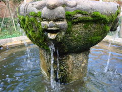 Brunnen im Steinbruch Litica