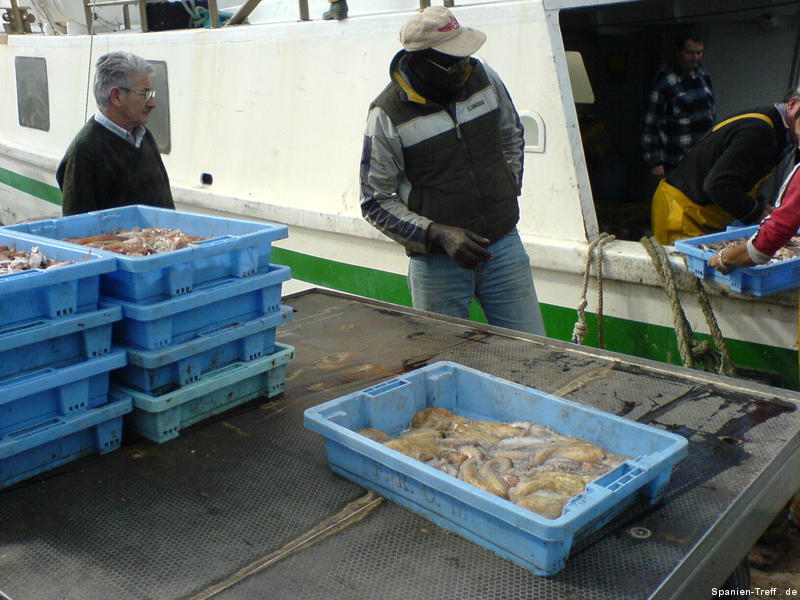 Fischfang vom Fischerboot