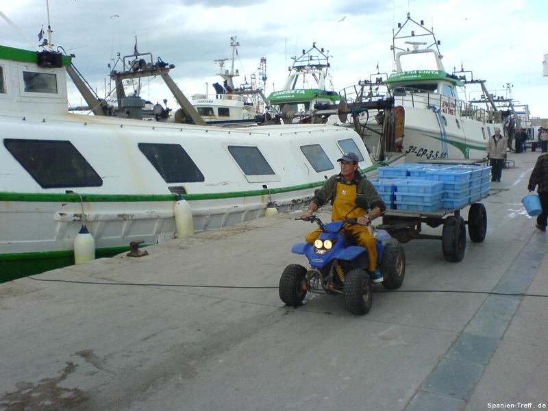 Quad transportiert Fischfang