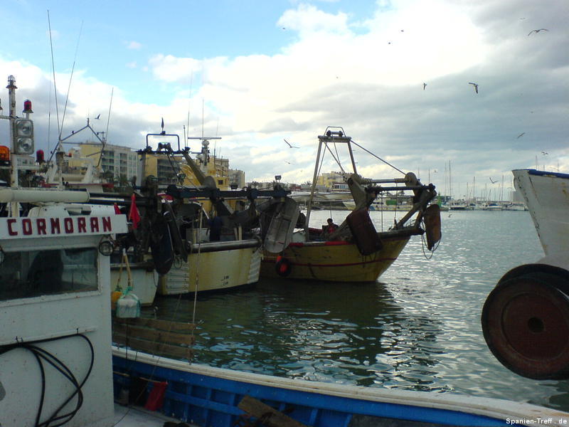 Fischerbote im Hafen