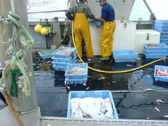 Fischerboot mit Fischfang