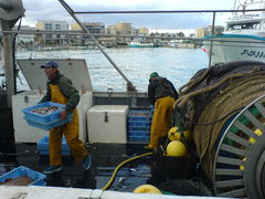 Fischerboot mit Fischfang