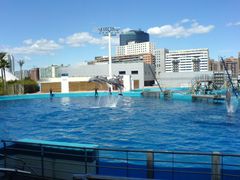 Delfinarium & Delfine