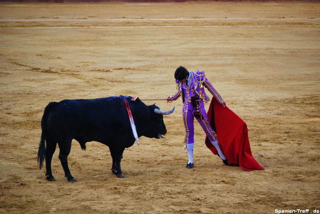 muleta 4 - Stierkampf - Tauromaquia - corrida de toros