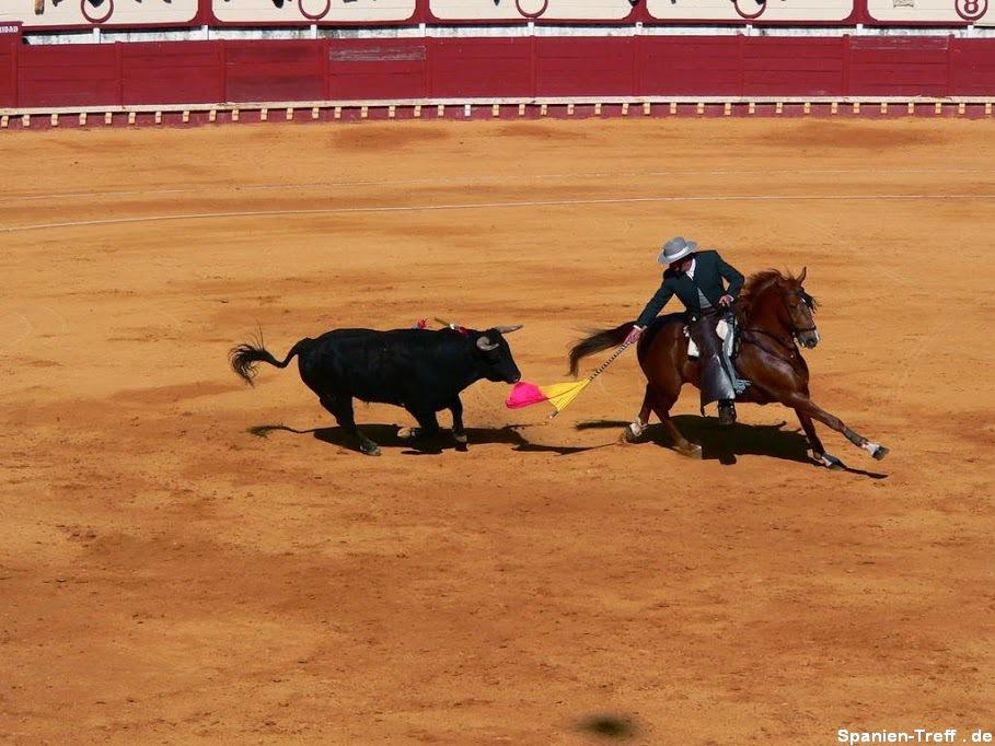 rejoneo 2 - Stierkampf - Tauromaquia - corrida de toros