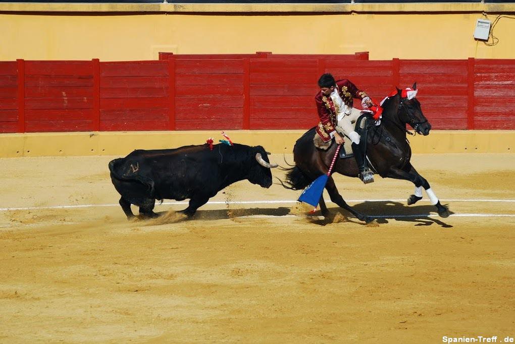 rejoneo 1 - Stierkampf - Tauromaquia - corrida de toros