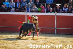 banderillas 1 - Stierkampf - Tauromaquia - corrida de toros