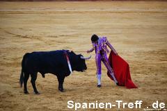 muleta 4 - Stierkampf - Tauromaquia - corrida de toros