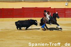 rejoneo 1 - Stierkampf - Tauromaquia - corrida de toros