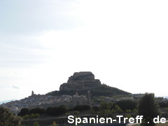 Morella