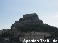 Morella