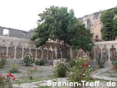 Rosengarten mit Baum in Morella