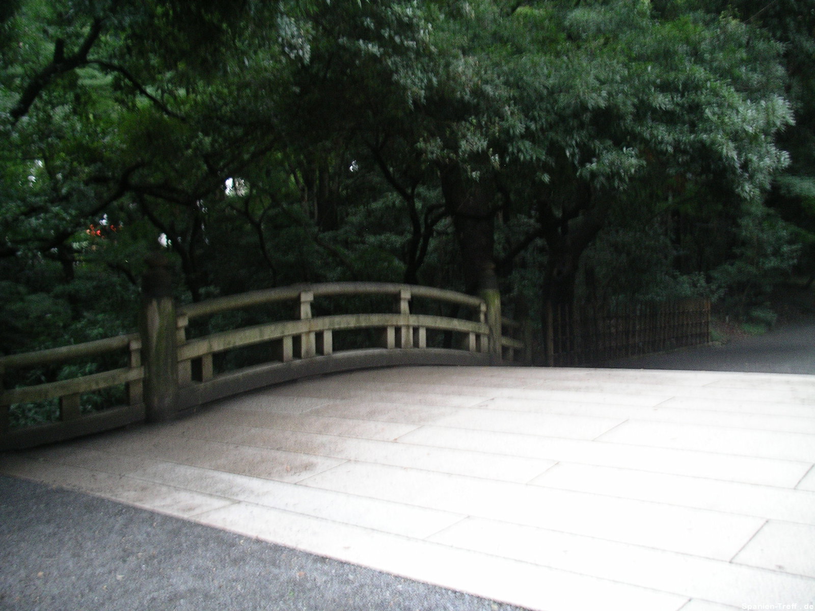 Tokyo, Meiji-jingū in Shibuya