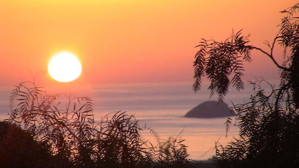 Finca Grünflächen Web (9).JPG