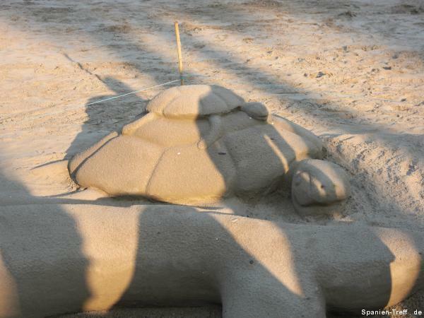 schildkröten_sandfigur.jpeg
