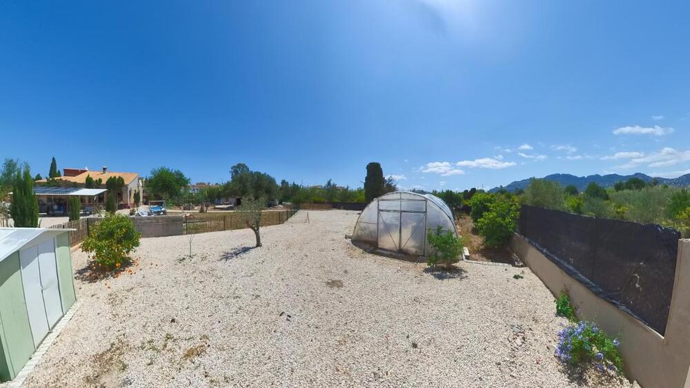 WhatsApp Bild 2024-06-13 um 13.01.32_999c0335.jpg